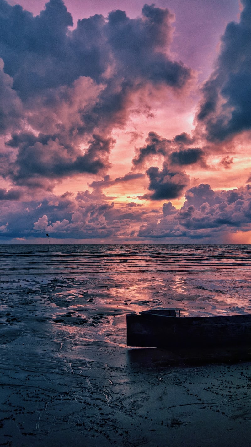 Mind- Body Connection part 2: Understanding your internal&nbsp;alarm!